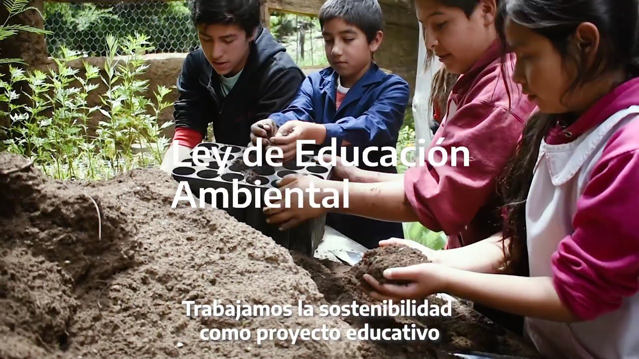 Día de la educación ambiental