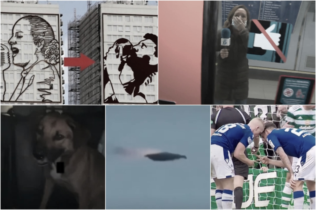 Información Segura Bizarras Noticias