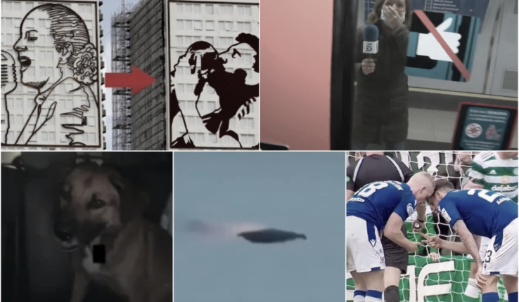 Información Segura Bizarras Noticias