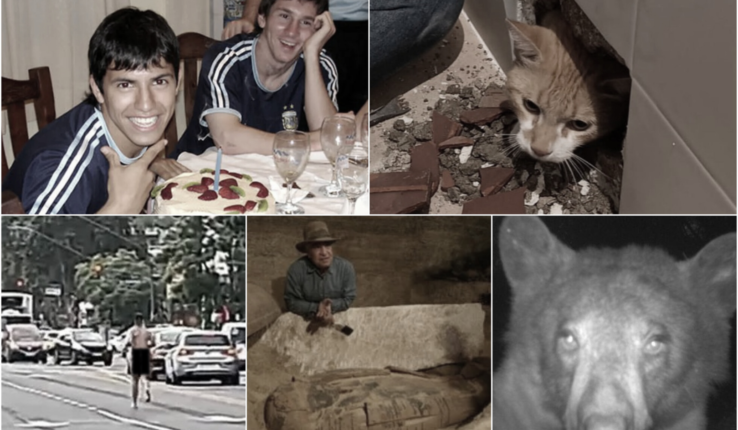Bizarras Noticias