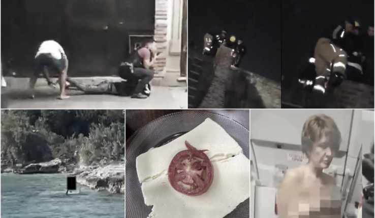 Noticias Semana Bizarras