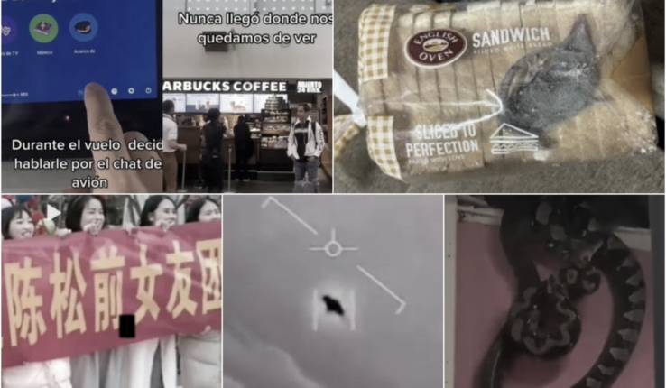 Semana Noticias Más Bizarras