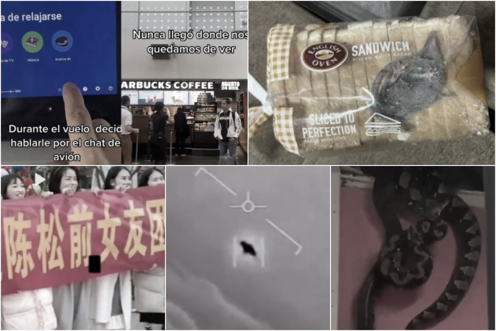 Información Segura #27: Las 5 noticias más bizarras de la semana