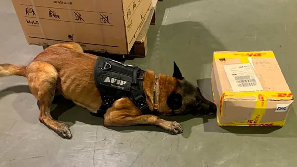 Moreno: Secuestran tres kilos de cocaína ocultos en un calefón y otros aparatos que iban a enviarse a Australia
