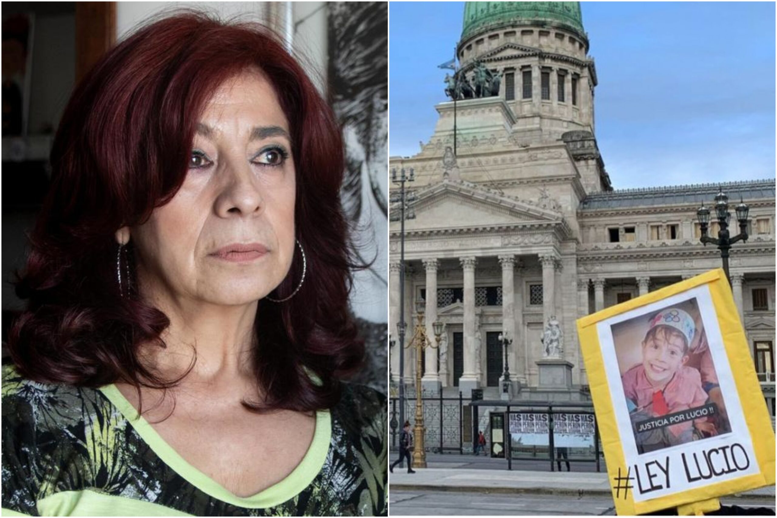 Entrevista a Silvia Irigaray, cofundadora de Madres del Dolor: “Lucio nos dolió a todos, es importante que la Ley se apruebe”