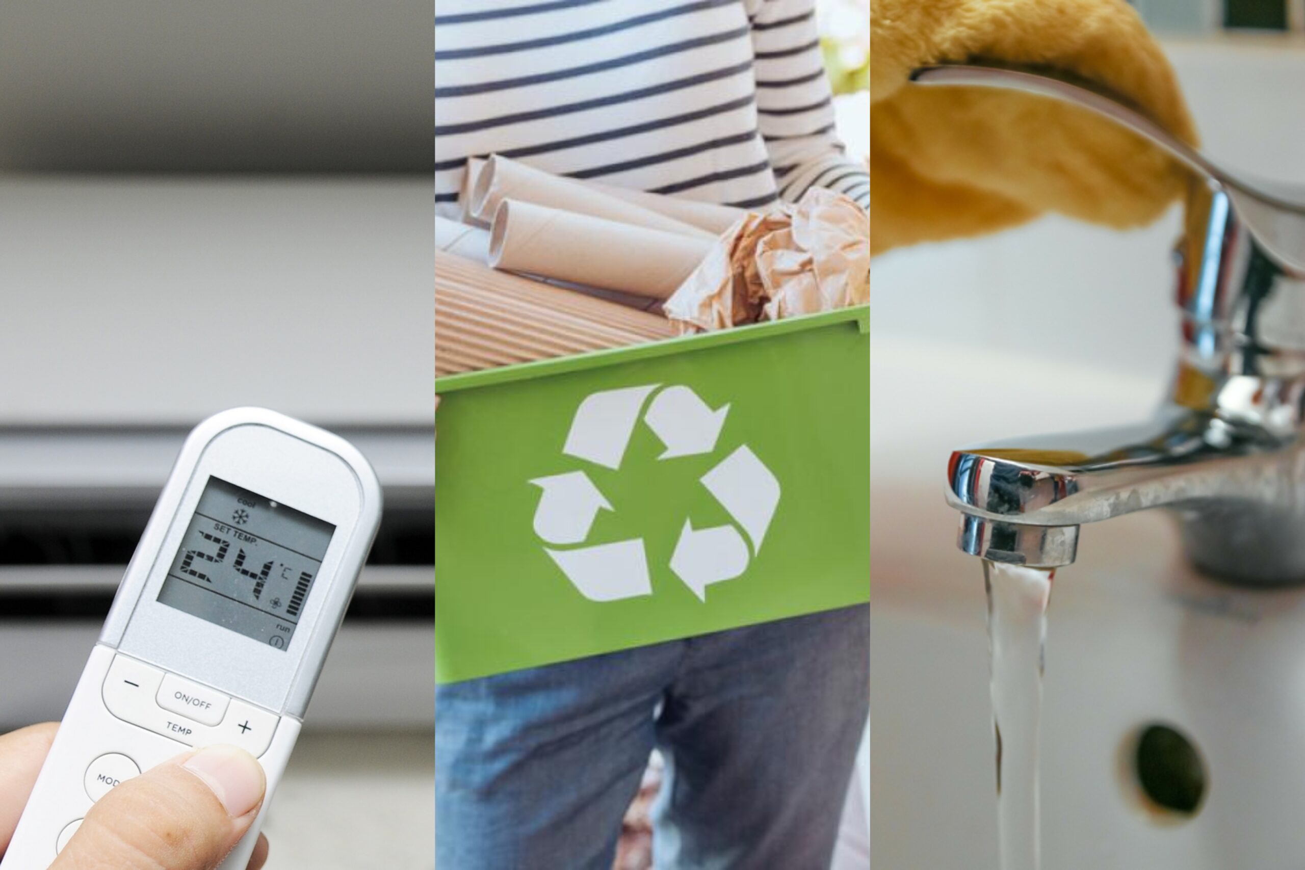 Medioambiente: ¿Cómo cuidar el planeta desde casa?