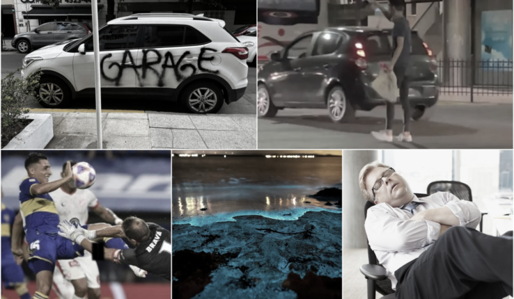 5 Noticias Más Bizarras Semana