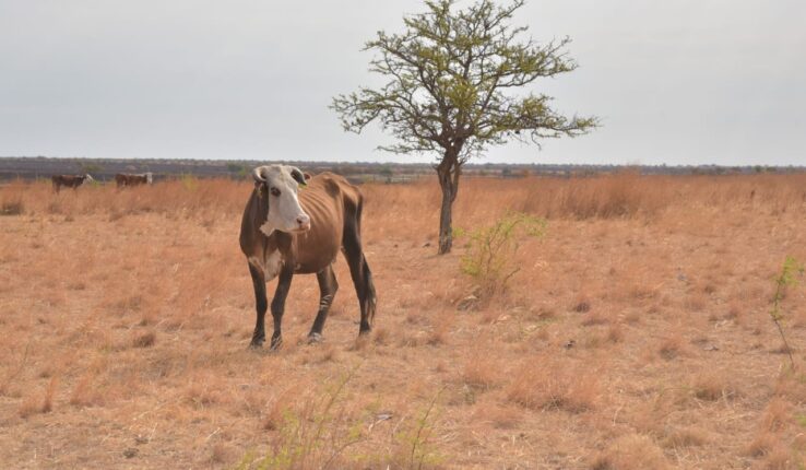Medidas Excepcionales Sequía