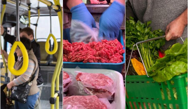 Marzo Transporte Carne Frutas Verduras