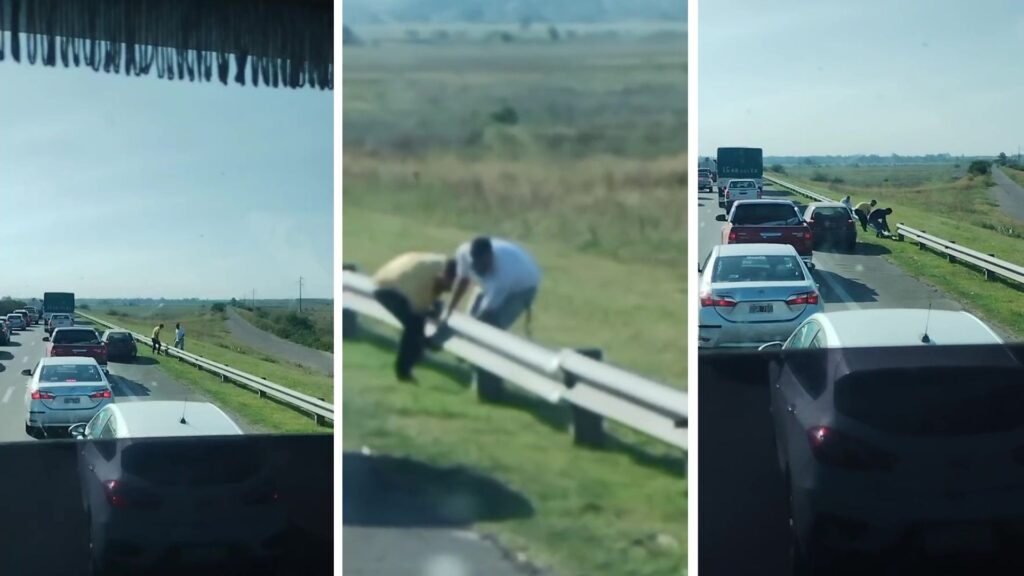 Noticias Más Bizarras Información