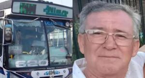 virrey pino colectivero