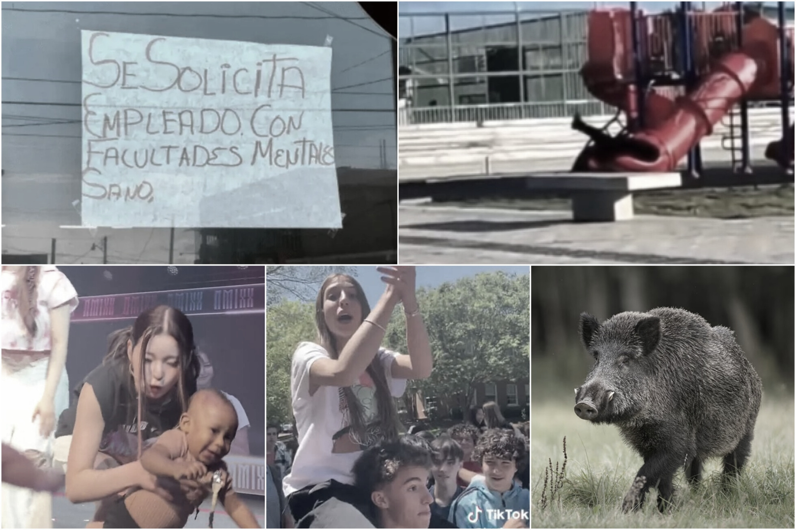 Información Segura #39: Las 5 noticias más bizarras de la semana