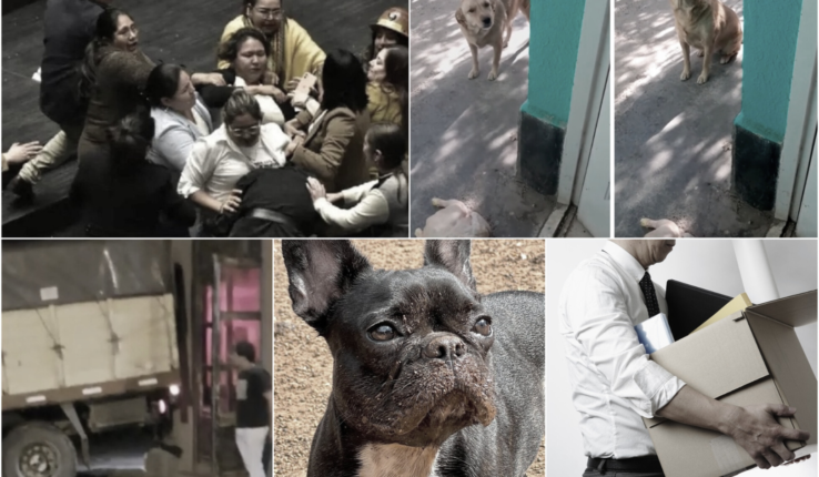 Información Segura 5 Noticias Bizarras