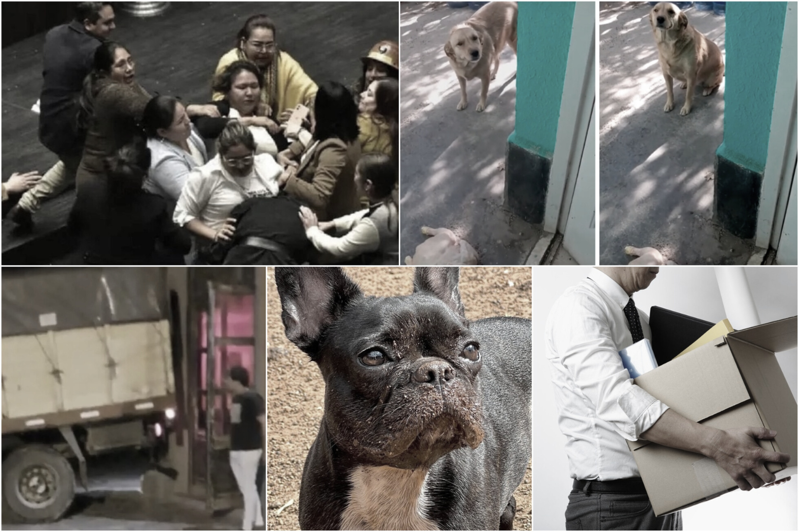 Información Segura #41: Las 5 noticias más bizarras de la semana