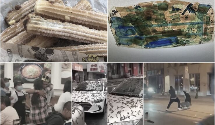 Semana Noticias Bizarras Información