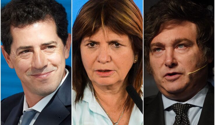 Oficialismo Oposición Alianzas PASO