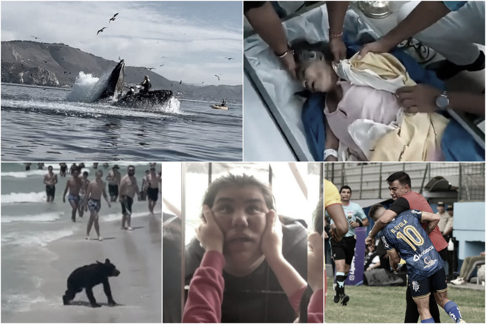 Información Segura #44: Las 5 noticias más bizarras de la semana