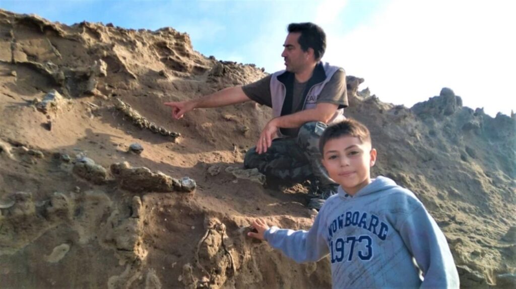 Fósil Perezoso Niño Miramar