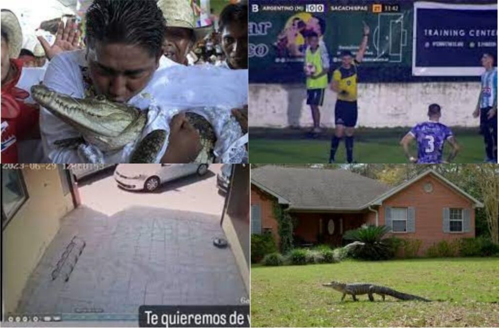 Información segura #47: Las 5 noticias más bizarras de la semana