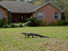 Información segura #47