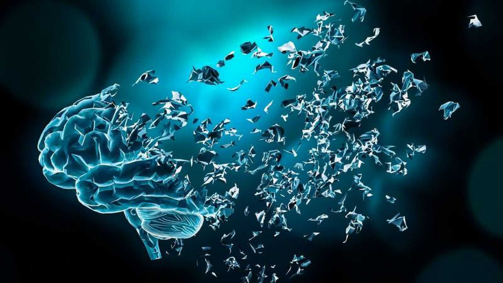 Investigadores tucumanos estudian bacterias que podrían contribuir en los tratamientos de Alzheimer