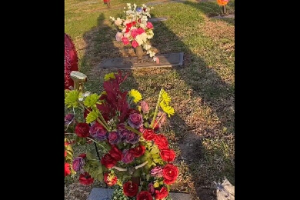 Información segura #50