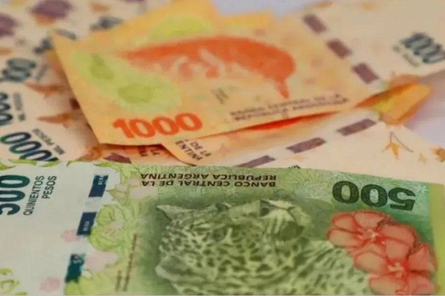 salario mínimo vital y móvil