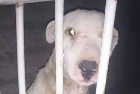 Información segura #49