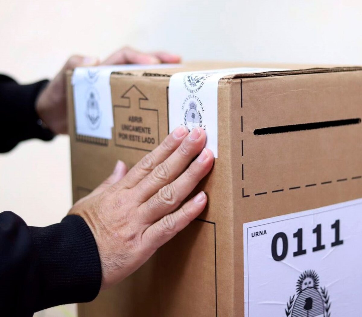 Elecciones octubre: Todo lo que tenes que saber para ir a votar