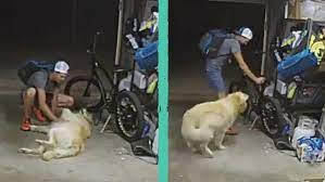 Información segura #52