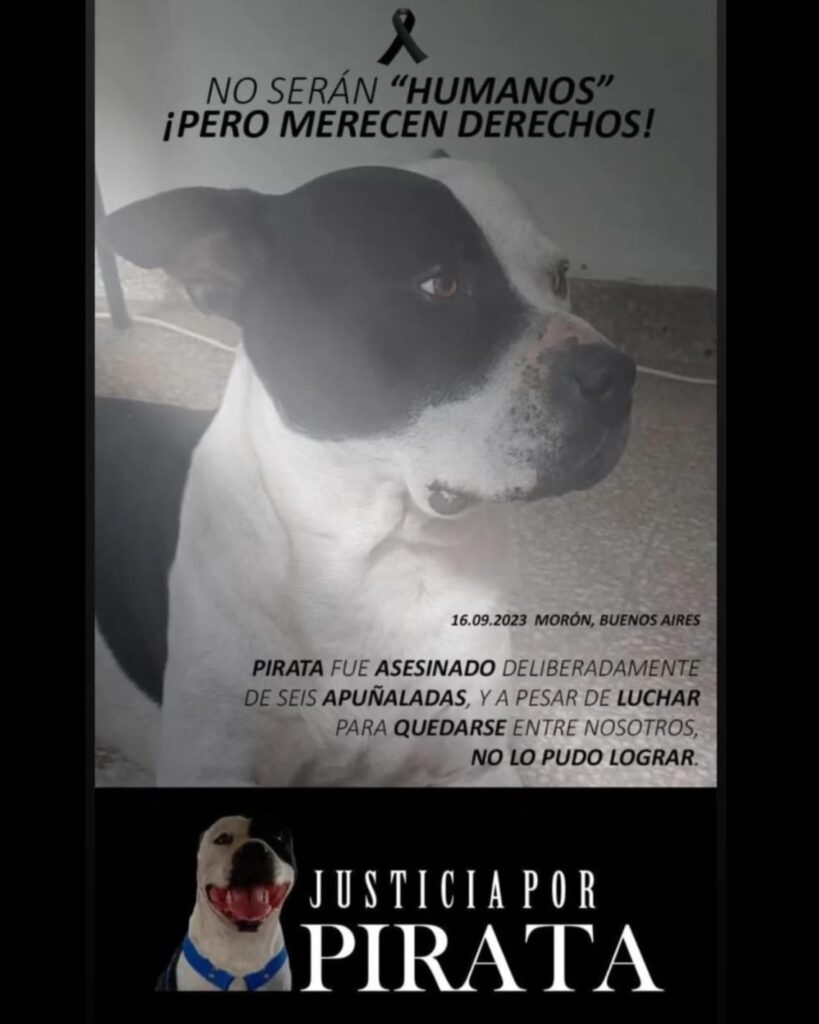 Morón asesinato perro