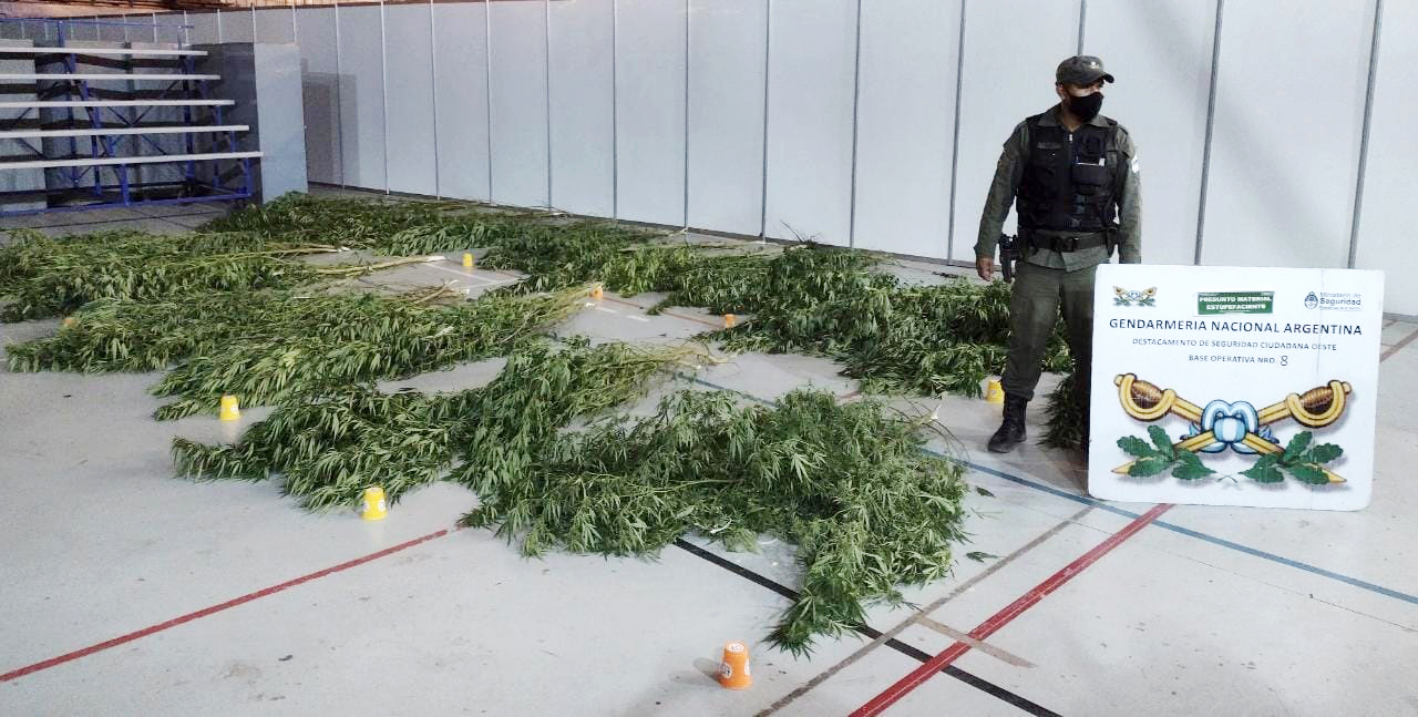 Detienen a un hombre que traficaba marihuana en La Matanza