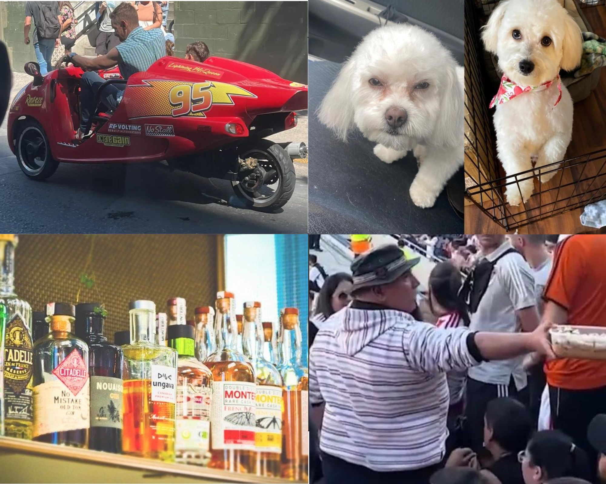 Información segura #61: Las 5 noticias más bizarras e importantes de la semana