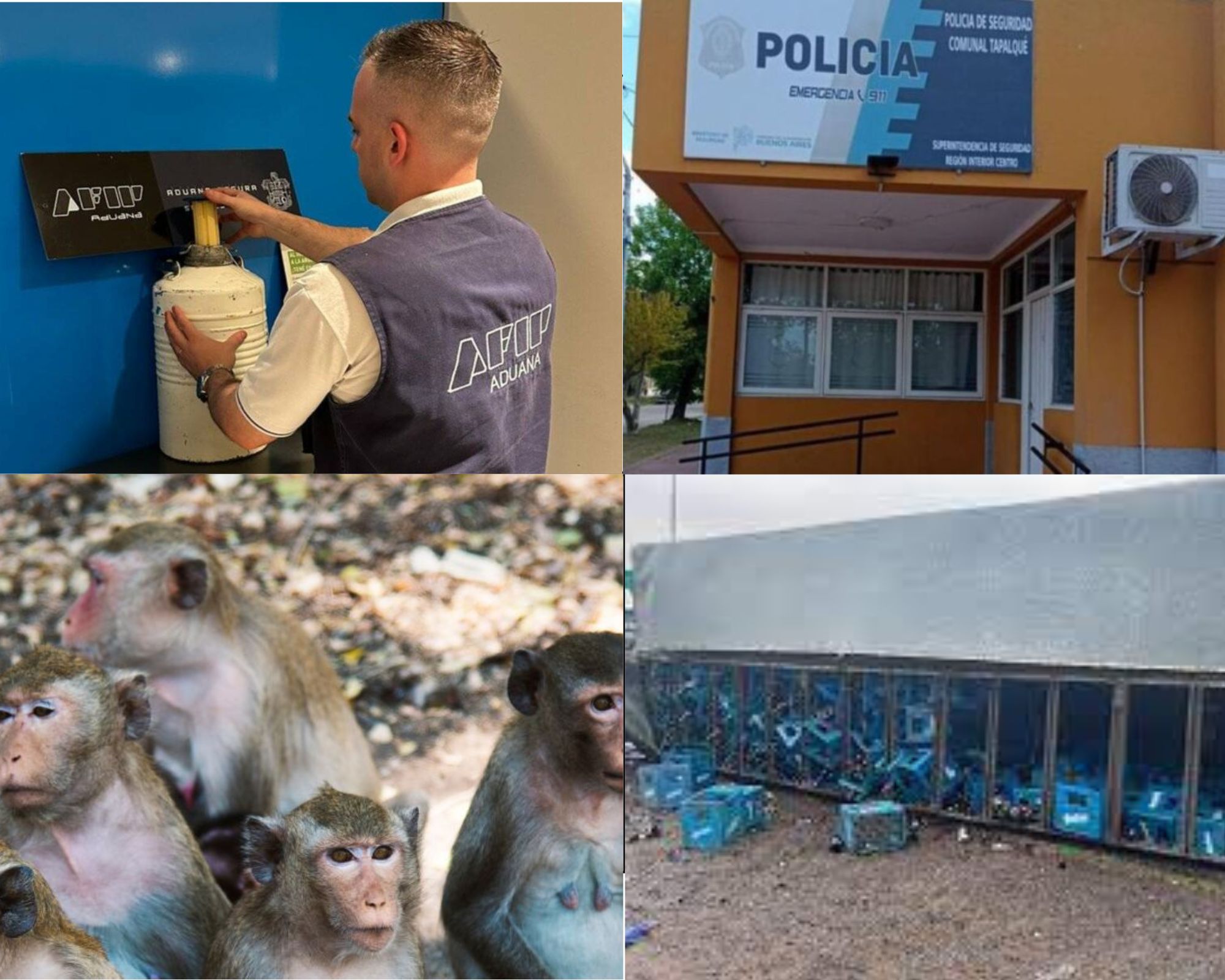 Información segura #63: Las 5 noticias más bizarras y divertidas de la semana