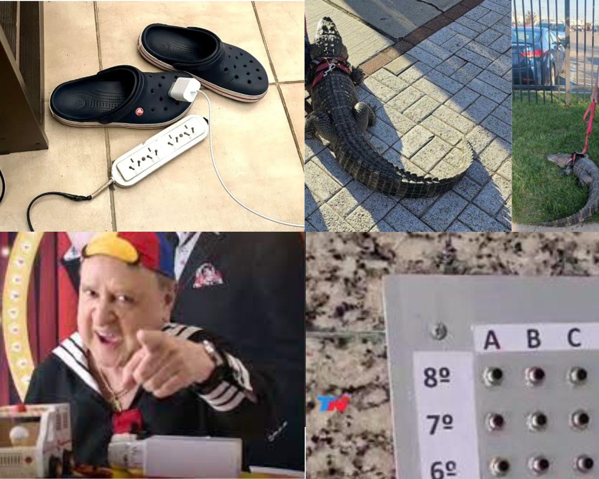 Información segura #60: Las 5 noticias más bizarras y divertidas de la semana