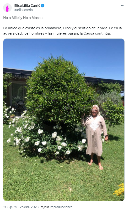 Coalición Cívica Massa Milei