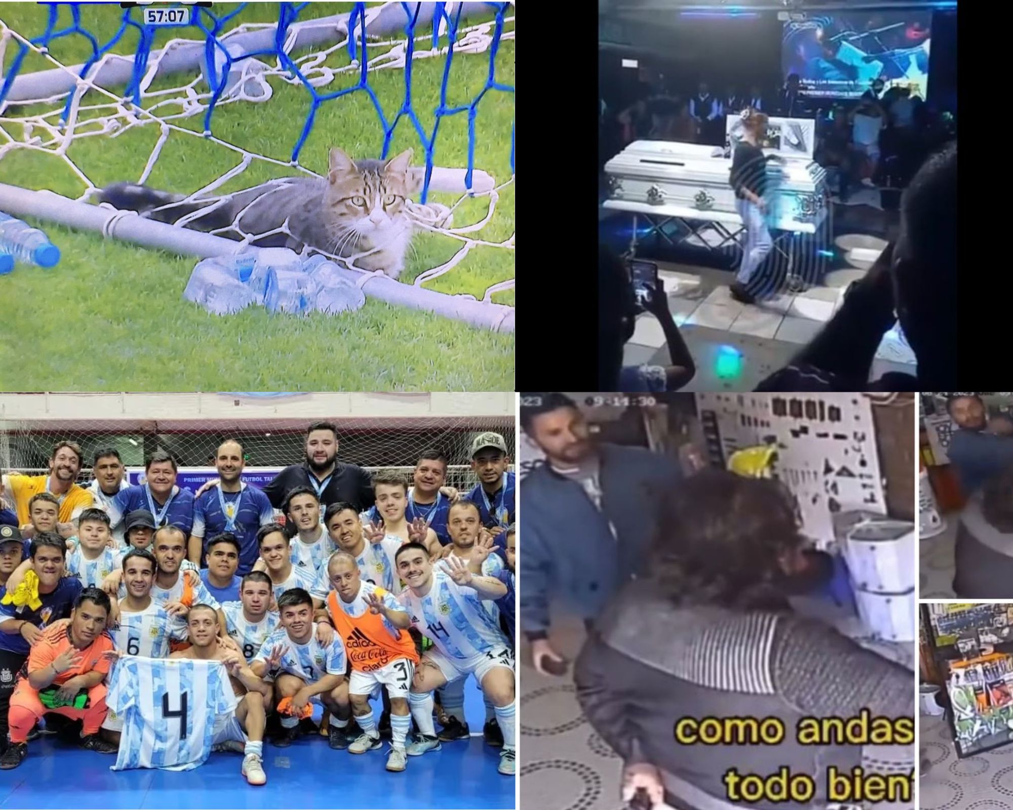 Información segura #66: Las 5 noticias más bizarras e importantes de la semana en Argentina