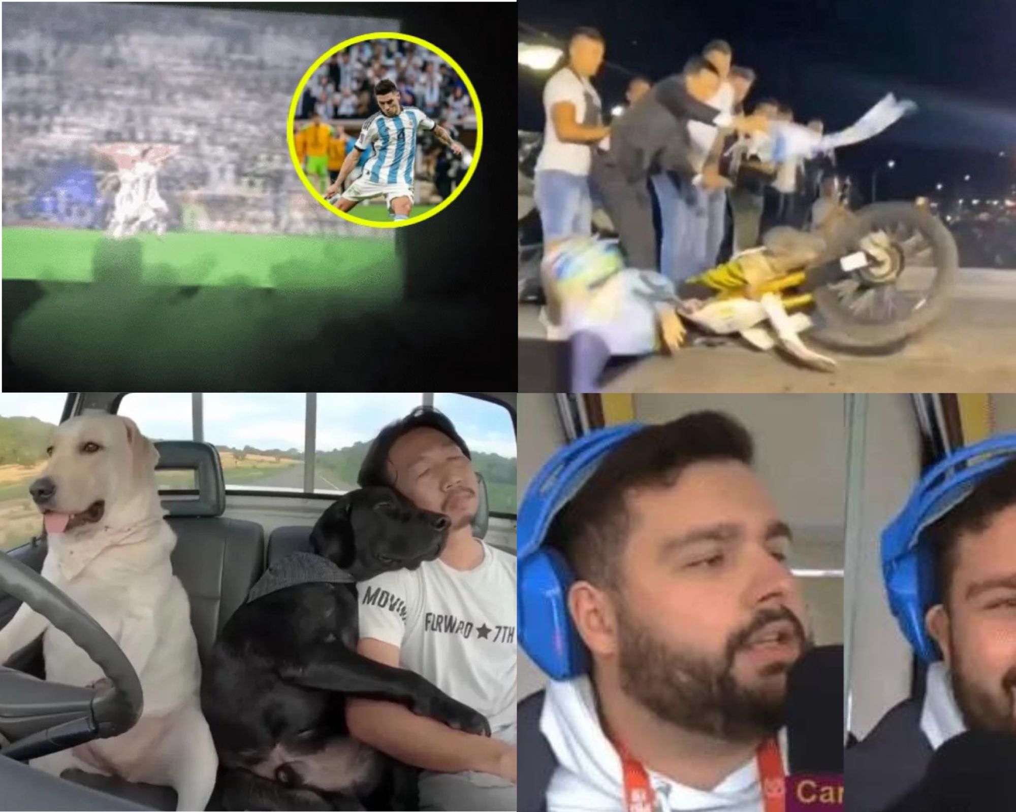 Información segura #71: El resumen de las 5 noticias semanales más bizarras