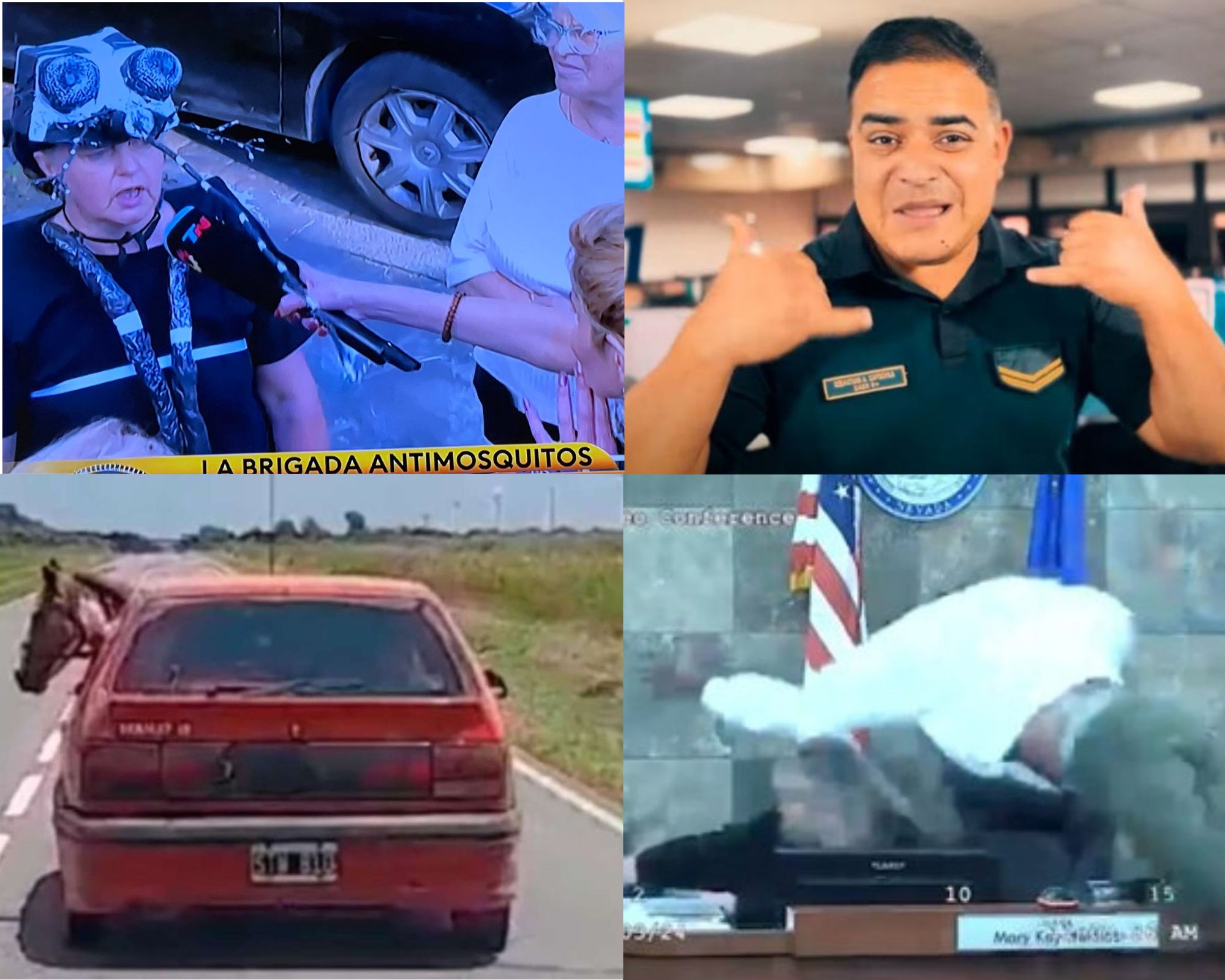 Información segura #74: Las 5 noticias más bizarras de la primer semana de enero de 2024