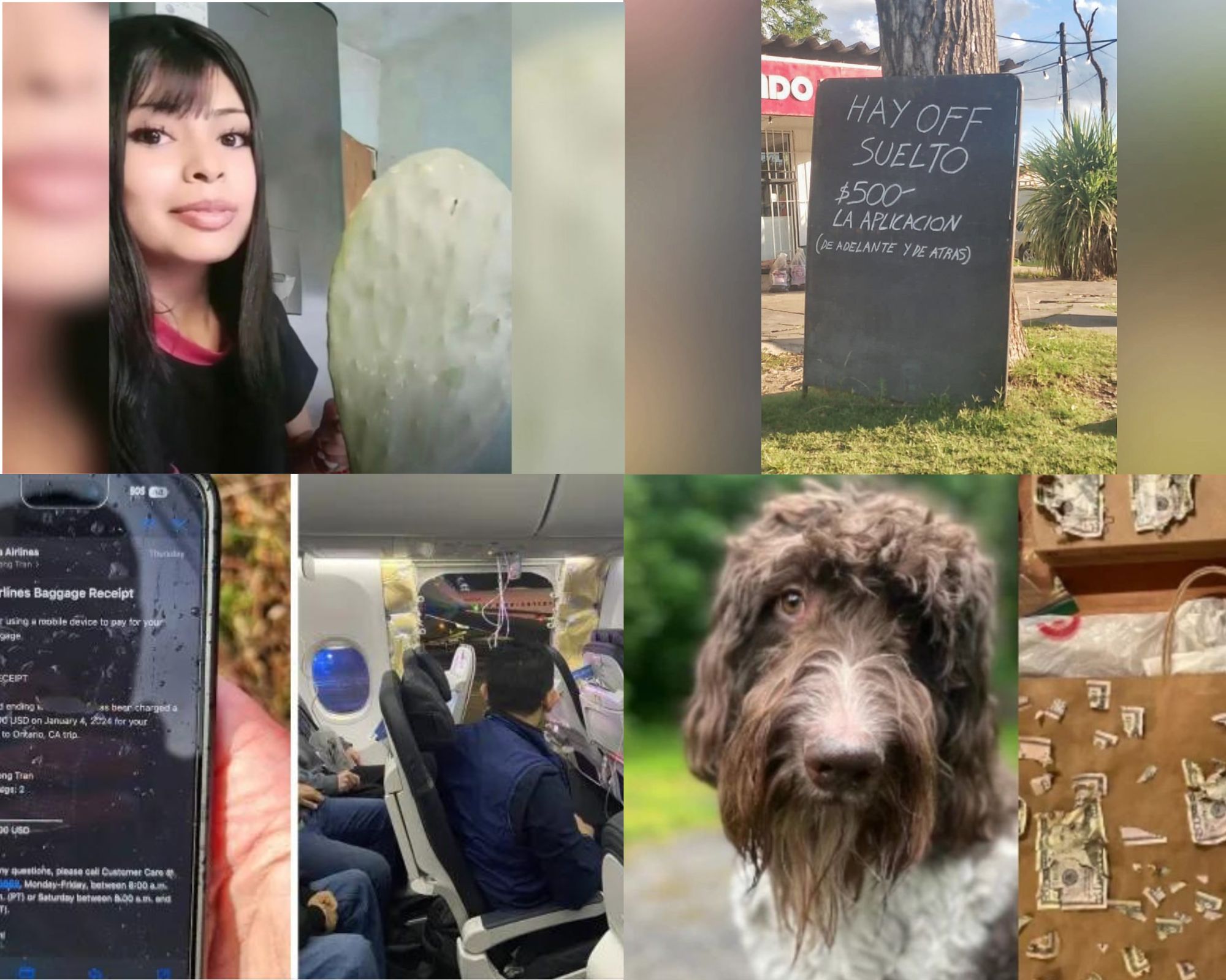 Información segura #75: Las 5 noticias más bizarras de la semana