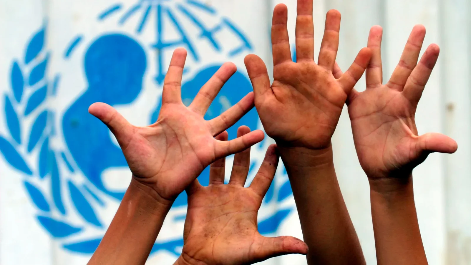 Unicef Argentina destacó “el derecho a la educación” de niños y niñas, luego de que Benegas Lynch rechazara la escolaridad obligatoria y hablara del trabajo infantil