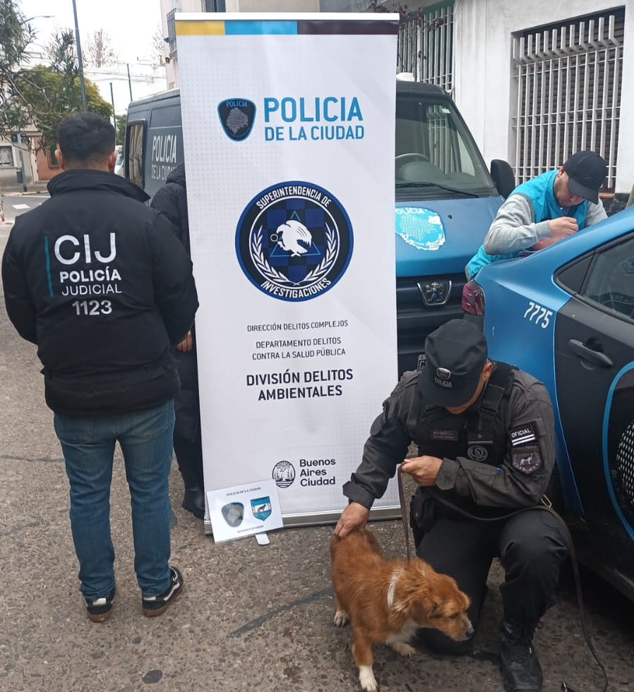 prisión preventiva inhabilitación conducir 10