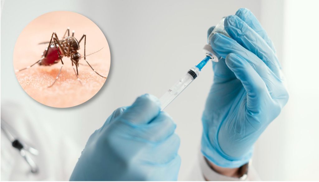 Vacunación contra el Dengue Provincia dosis