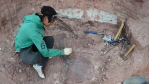 Científicos del CONICET transmiten en vivo la primera expedición para buscar dinosaurios en la Patagonia