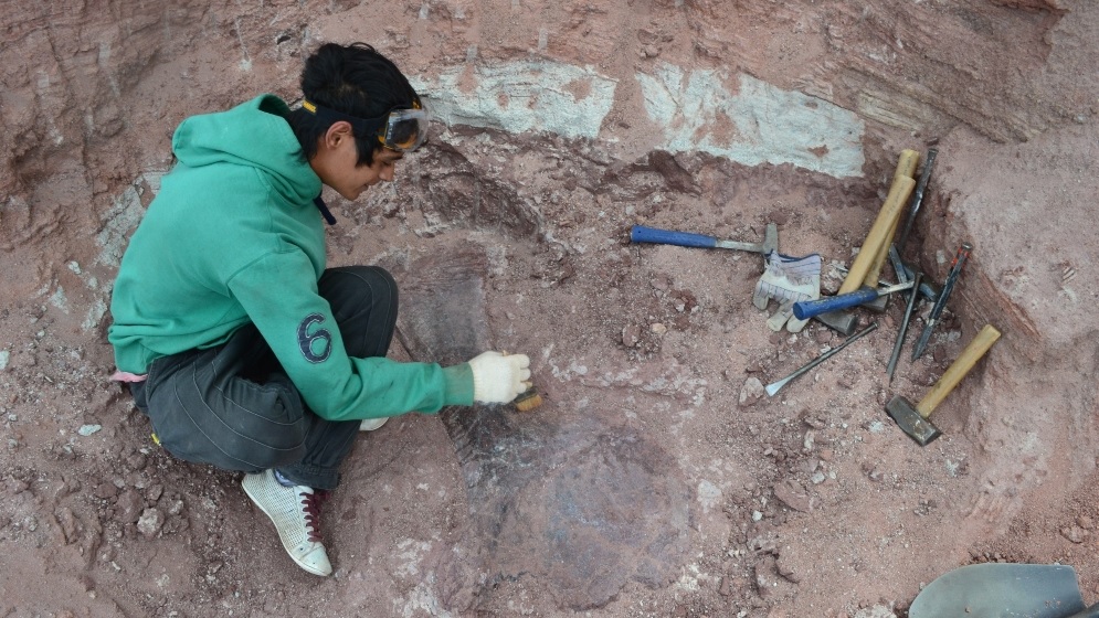CONICET vivo expedición dinosaurios Patagonia