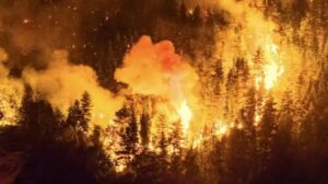 Incendio en el Parque Nacional Los Alerces: el fuego avanza y mantiene en alerta a Villa Lago Rivadavia