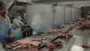 Crisis en el sector cárnico: el frigorífico General Pico suspendió a 450 trabajadores en Trenel