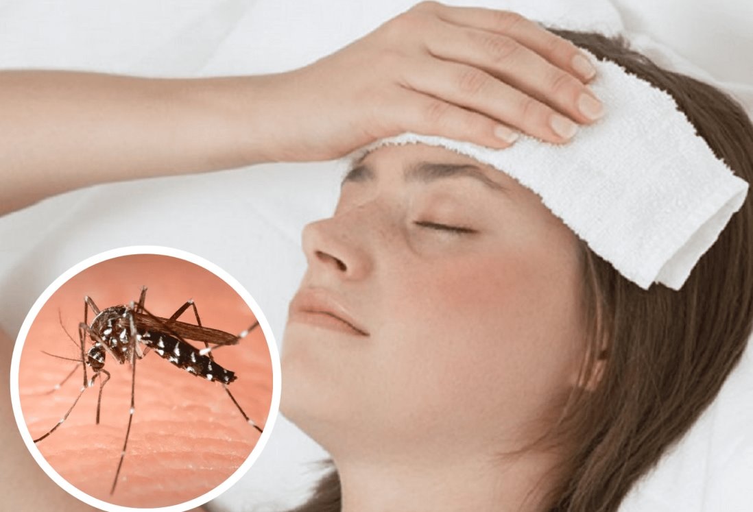 Dengue: cuáles son los principales síntomas y qué hacer ante un posible contagio