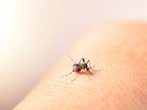 Morón refuerza la campaña de prevención contra el dengue